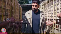 ayushmann khurrana movie anek