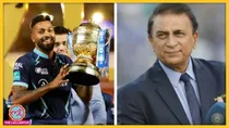 Gavasakar and pandya (BCCI/File)
