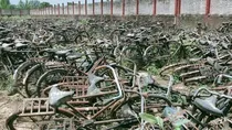 UP government sold cycles