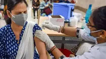 Corbevax vaccine (Photo: File)