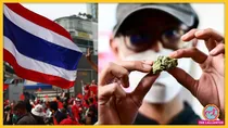 Why did Thailand make cannabis legal? (फोटो-AFP)