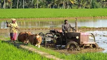 Farming