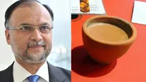 Pakistan TEA