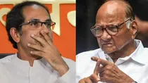 Uddhav Thackeray Sharad Pawar