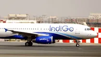 Indigo Airlines