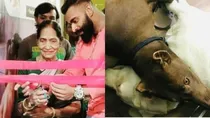 lucknow-pitbull-dog-murder