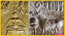 Indus valley script