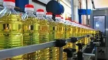 Edible oil 
