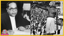 related-article-banner-image