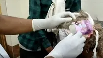 madhya_pradesh_morena