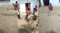Shahjahanpur man died by snake bite