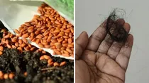 Food for hairgrowth
