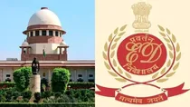 Supreme court pmla order review petition
