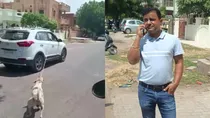 Jodhpur Dog Car video viral