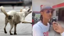 Lucknow pet dog owner video viral