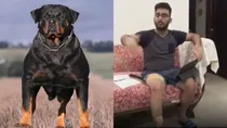 ghaziabad-rottweiler-dog-bite-man