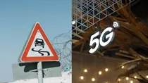 5G is dangerous for human and animal truth or rumour  