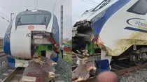 vande-bharat-train-accident-gujarat