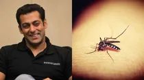 salman khan apartment dengue