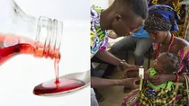 gambia cough syrup 70 child death