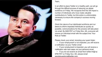 elon musk starts the process of mass layoff in twitter  
