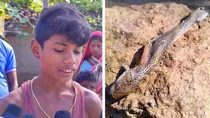 child bites the snake in Chhattisgarh