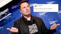elon musk twitter blue