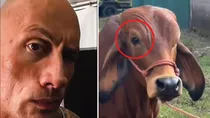 Dwayne 'The Rock' Johnson