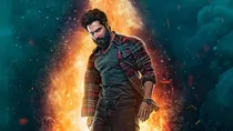 bhediya, varun dhawan,