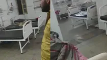 Stray dog seen inside the ward of district hospital in Azamgarh, video goes viral