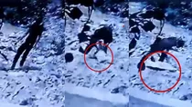 cctv shows man dumping head pandav nagar delhi murder case