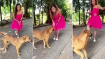Instagram influencer dog video