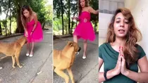 woman say sorry after kicking dog