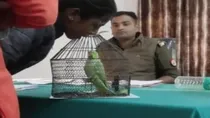 Prayagraj Police brought a parrot to the police station 