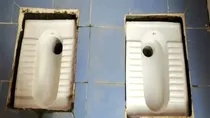 Toilet Viral Photo