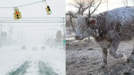 US Bomb Cyclone