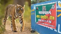 JIM Corbett park tiger attack