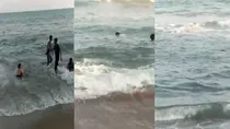 Engineer from Agra dies by drowning