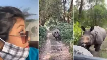 Assam rhino Viral Video