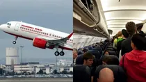 mid-air-peeing-incident