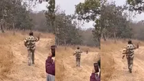 MP Panna Tiger Reserve