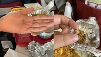 Passenger finds stone in flight meal