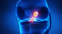 what is a ligament injury that Rishabh pant suffers from 