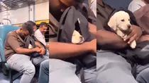 Puppy In Bag Viral