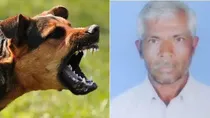 man killed in fight reportedly over calling his neighbor’s dog a dog