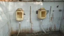 Viral toilet photo