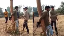 Journalist tied to a tree in Madhya Pradesh