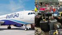 indigo flight 
