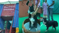 Doggy Dhaba Viral