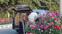 Video of two men stealing official flower pots